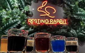 Resting Rabbit Hostel